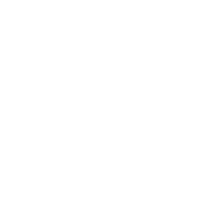 WHC2029_Logo_white